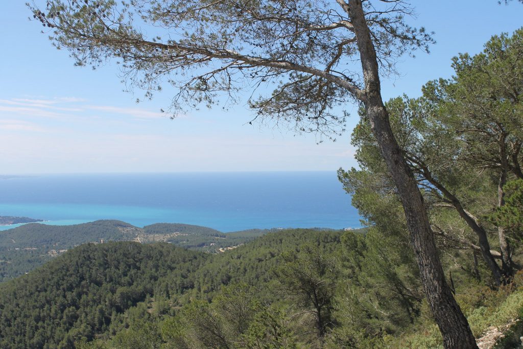 Sa Talaia hiking in Ibiza