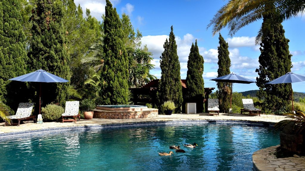 Villa Can Paradis pool