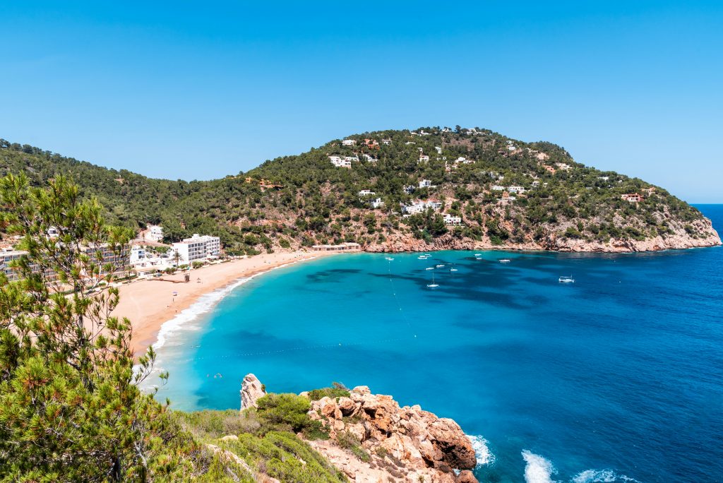 Cala San Vicente in Ibiza